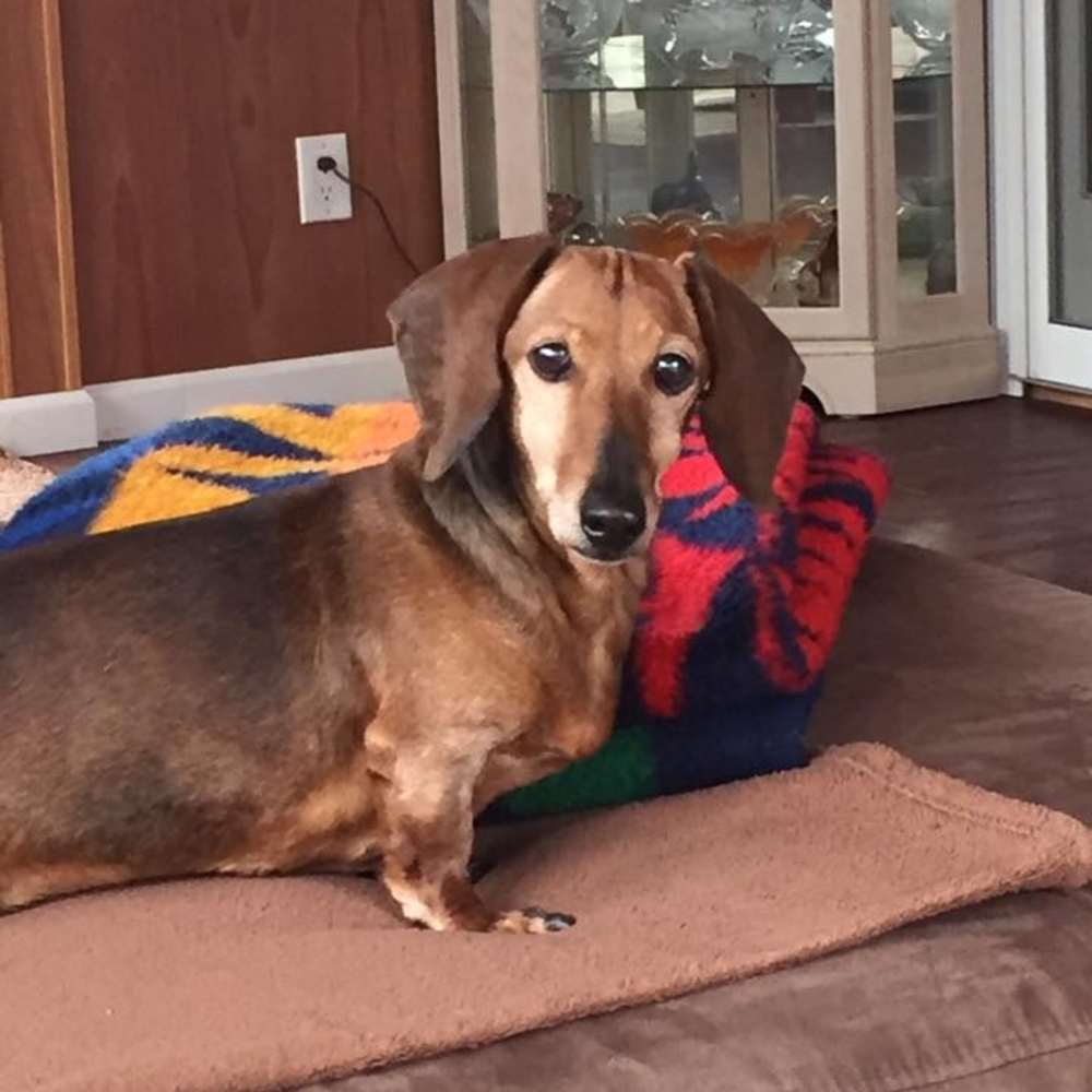 Meet your Posher, Ana